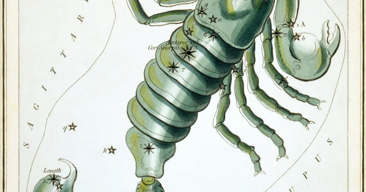 An antique engraving illustrating this article: Sidney Hall - Urania's Mirror - Scorpio.