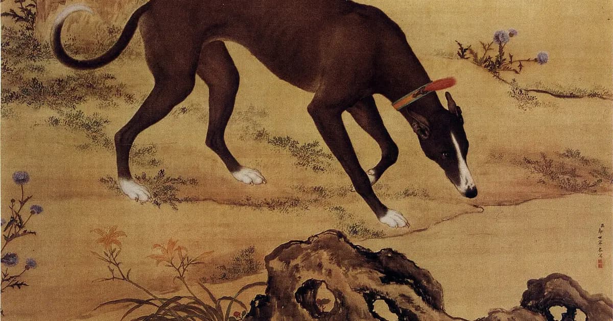 One of the Ten Prized Dogs, painted at the Qing court by Giuseppe Castiglione, a hound standing in a landscape.
