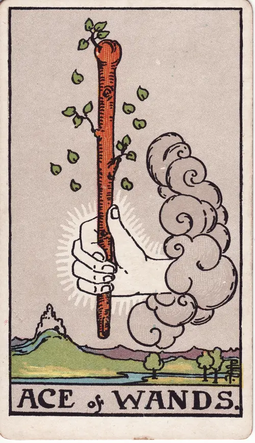 ace of wands